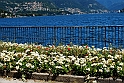Lago di Como_203